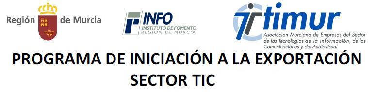 Programa de Iniciación a la Exportación para el Sector TIC
